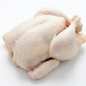 Frozen whole chicken supplier brazil halal bulk