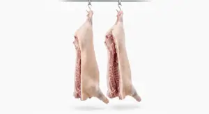 Halal Certified Frozen Pork Carcass | Bulk Industrial Export