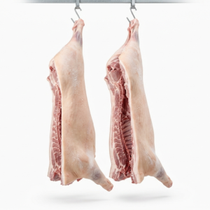 Frozen pork carcass split halves hanging in cold storage for bulk export